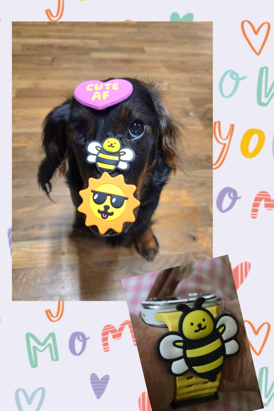 Customer photo review of Bumblebee Jiby Dog Charm