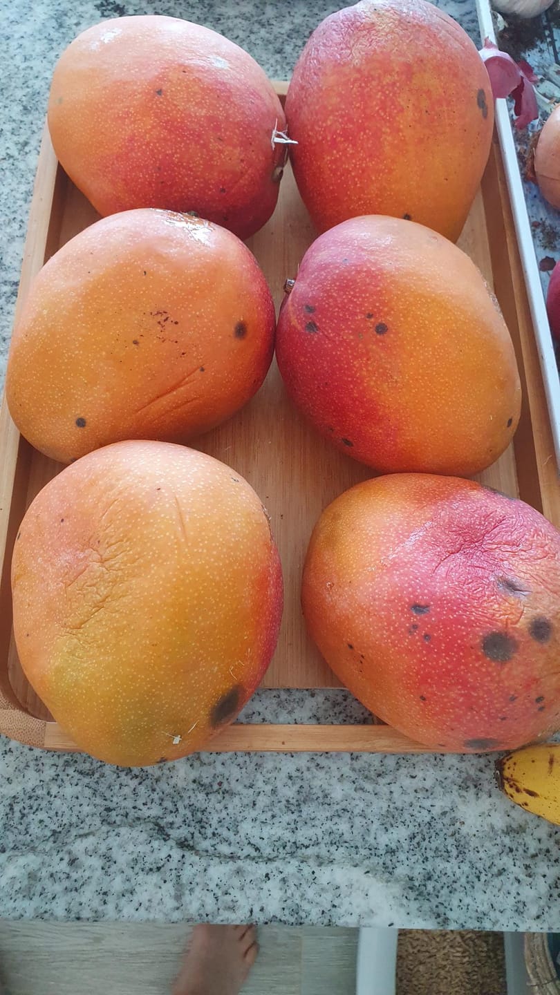 Customer photo review of Mango Kent baumgereifte Flugware