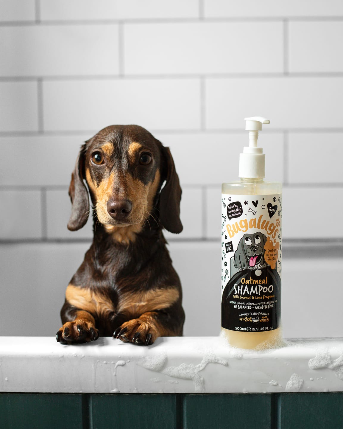 Customer photo review of Oatmeal Dog Shampoo with Coconut & Lime Fragrance