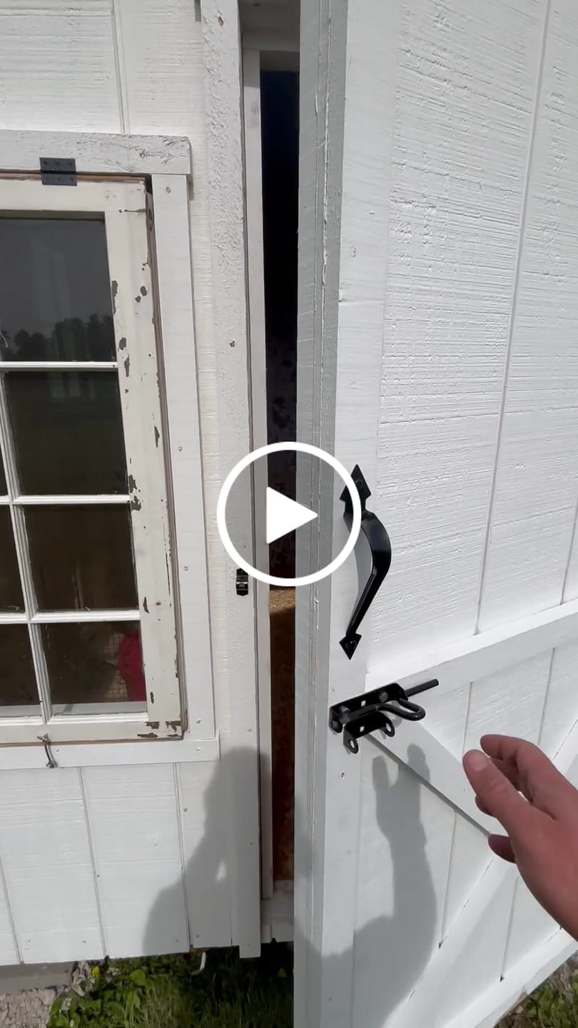 Customer video review of Small (24") Reversible Roll-out Nest Box (Up to 20 Hens)