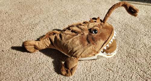 Customer photo review of American Anglerfish Soft Stuffed Plush Toy