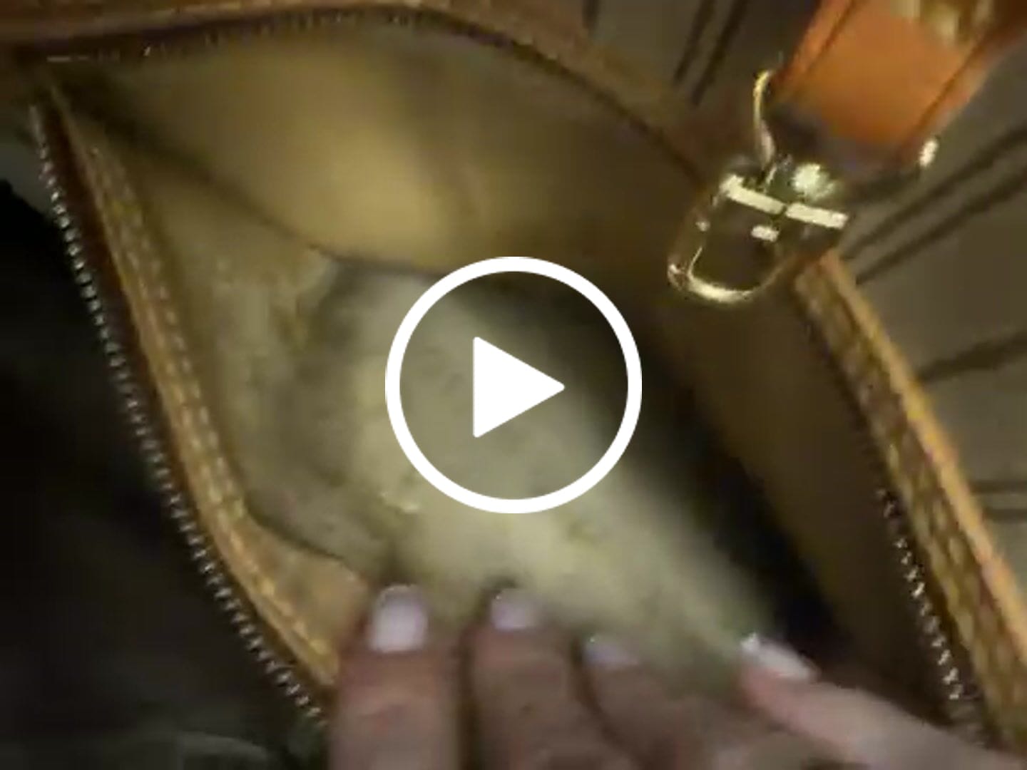 Customer video review of Neverfull MM