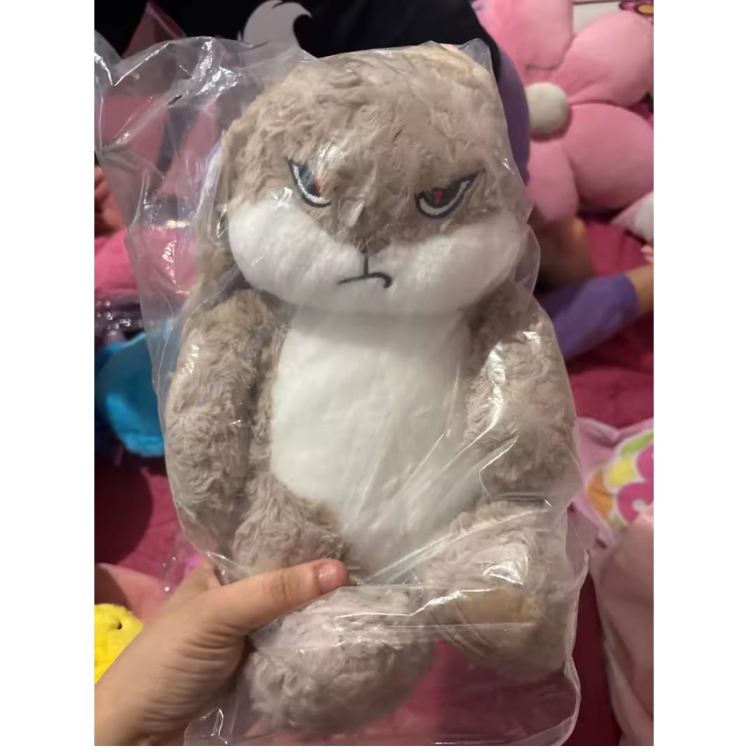 Customer photo review of Peluche tierno y enojado