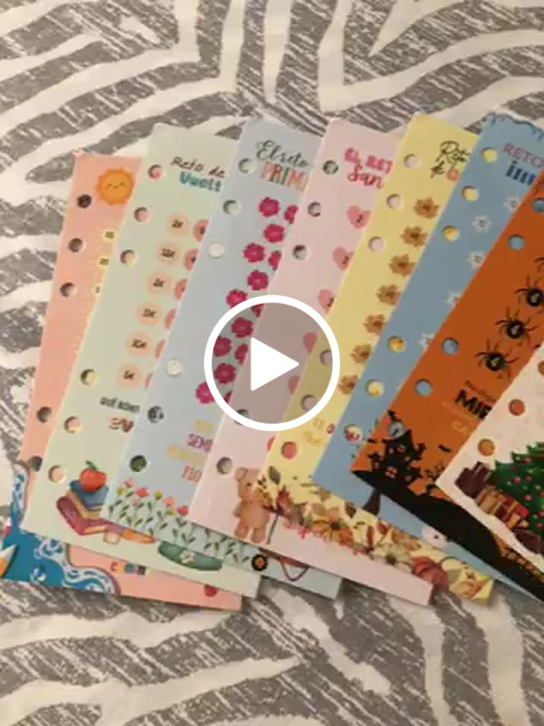 Customer video review of 10 Retos de Ahorro Plastificados Temáticos A6