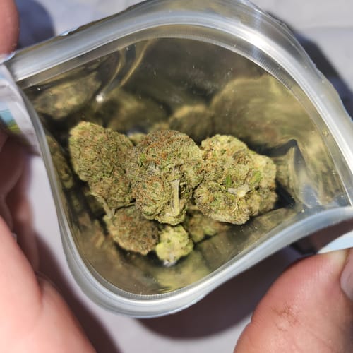 Customer photo review of Chrome Dome THCA Flower