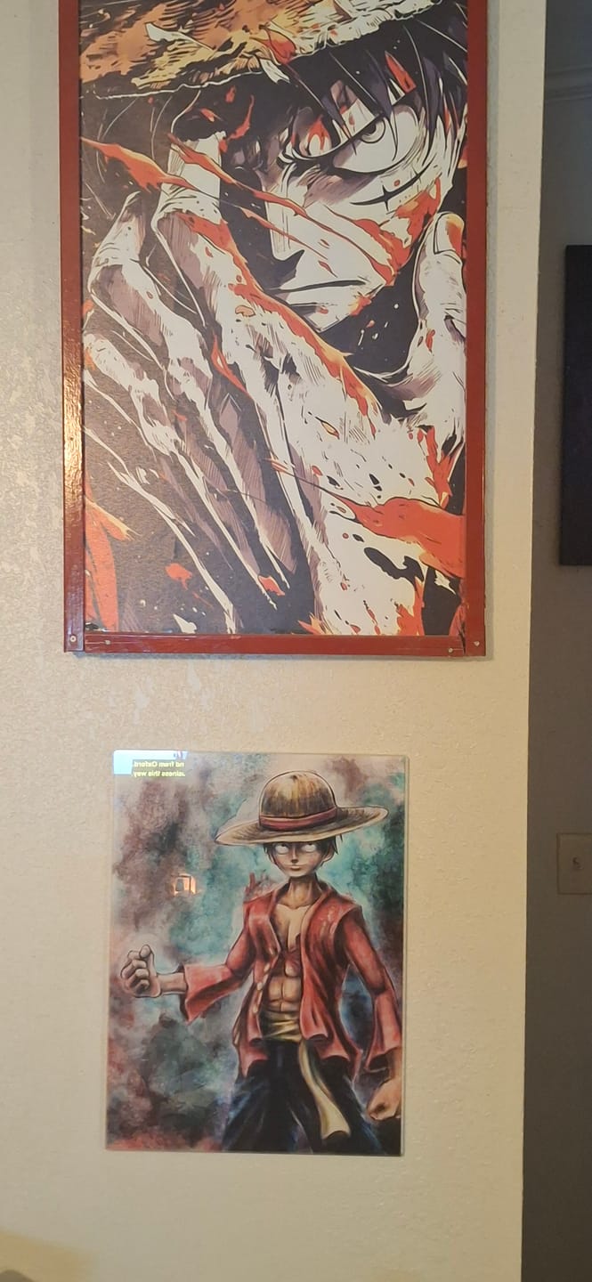 Customer photo review of Monkey D Pirate Wall Art