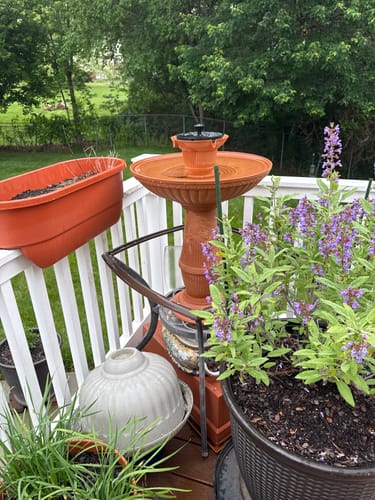 Customer photo review of Ventosa Solar Pump