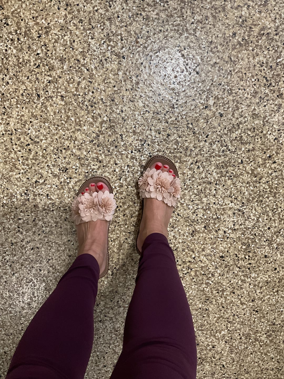 Customer photo review of Corky's Natural Wildflower Wedges
