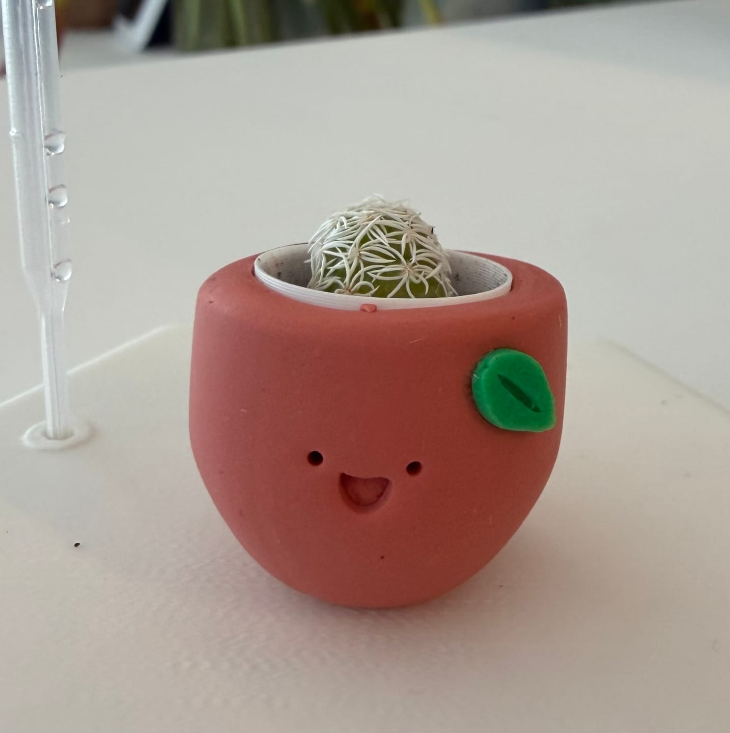 Customer photo review of Sweet Clementine