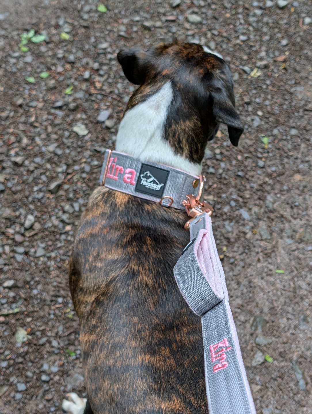 Customer photo review of Hundkoppel med namn