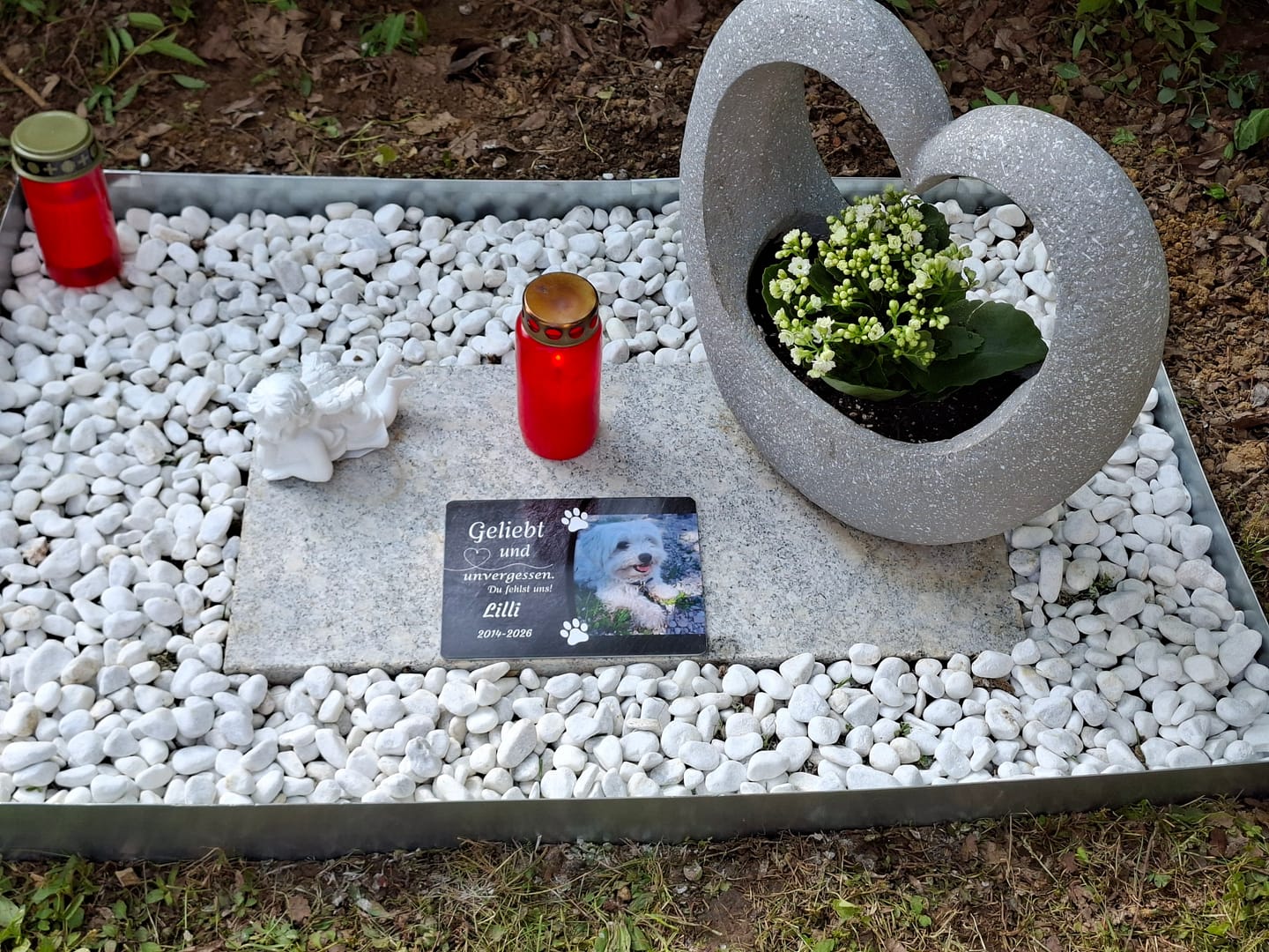 Customer photo review of Hunde Gedenktafel mit Foto & Spruch (UV- & Wetterfest)