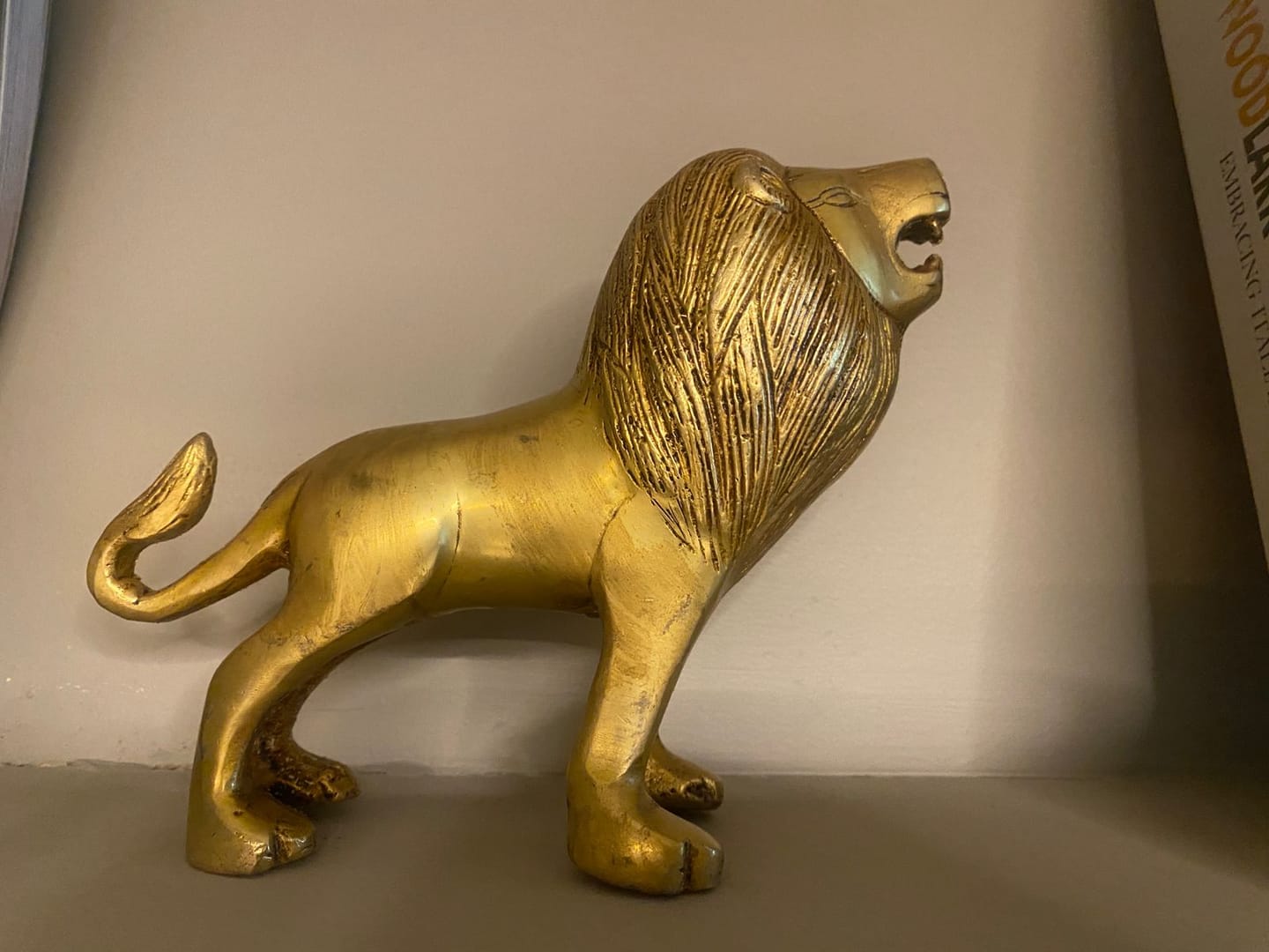 Customer photo review of Handcrafted Solid Brass Lion Vastu Idol | Vastu Remedy for South Direction Protection & Courage Energy for Main Entrances | 16×6×14 cm | 985g