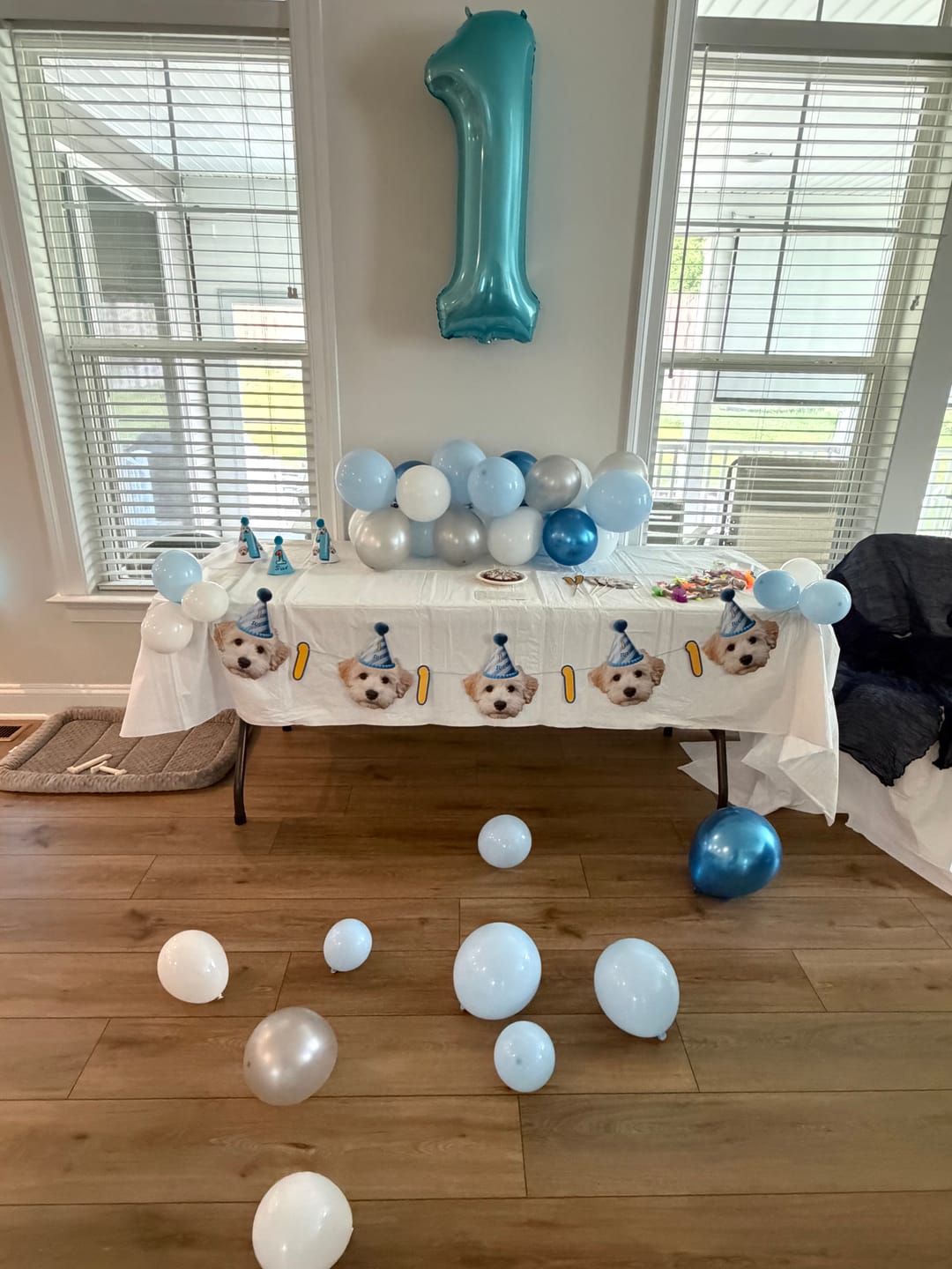 Customer photo review of Lite Personalized Dog Party Pack