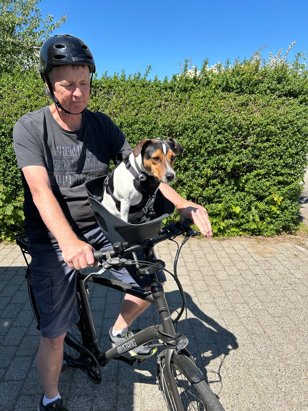 Customer photo review of Kvisp Dog Bike Carrier