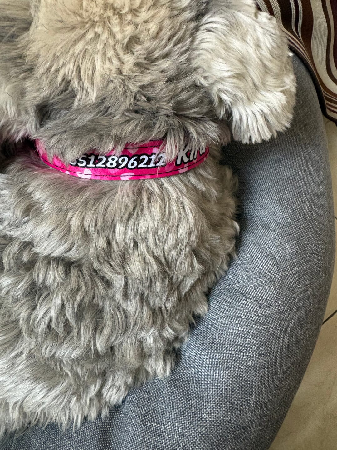 Customer photo review of Collar personalizado: Corazones