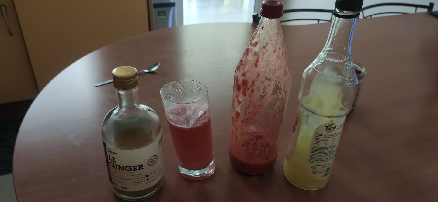 Customer photo review of Le Ginger Gopy Classique BIO