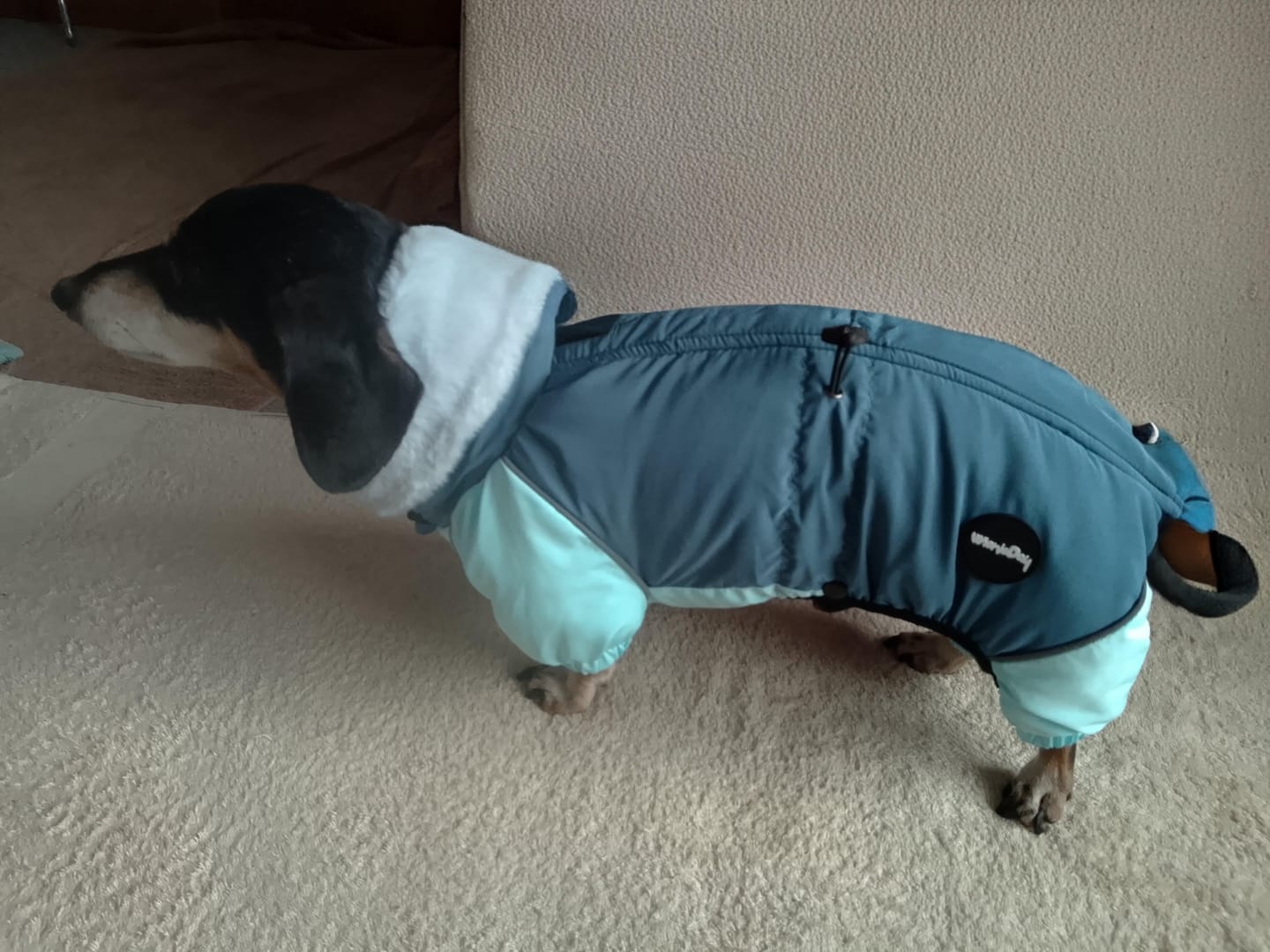 Customer photo review of SnowTrail Down Coat