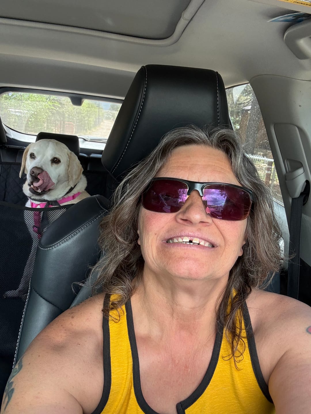 Customer photo review of NEW Waterproof Hard Bottom Car & Truck Seat Foldable Hammock Cover With Storage Pockets, Side Flaps, Headrest Straps, Seat Anchors, & Mesh Window (+FREE SAFETY BELT!)