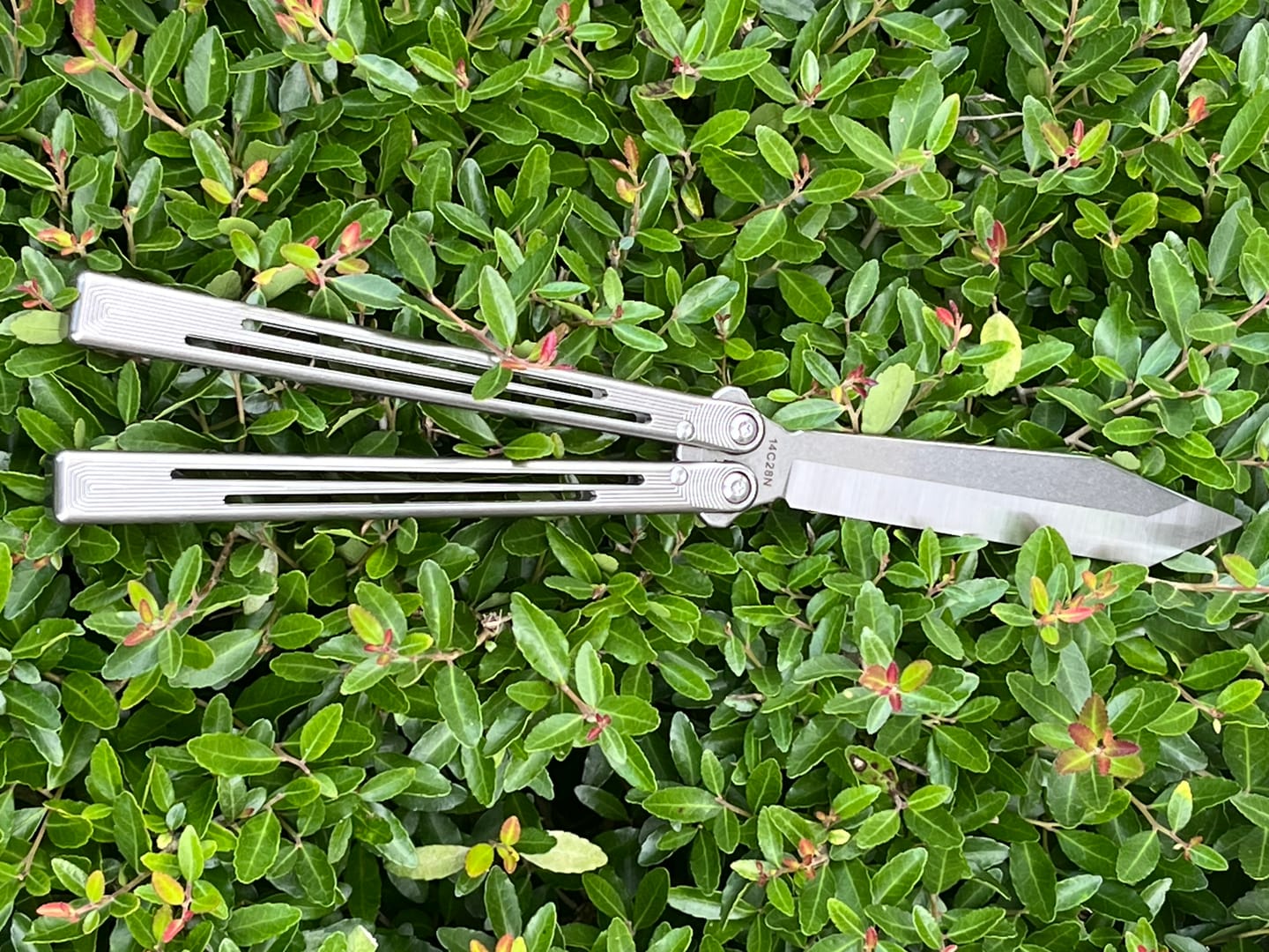 Customer photo review of ARMED SHARK Titanium REP SE Balisong Clone TC4 Titanium Alloy Handle 5CR15 Stainless Steel Blade