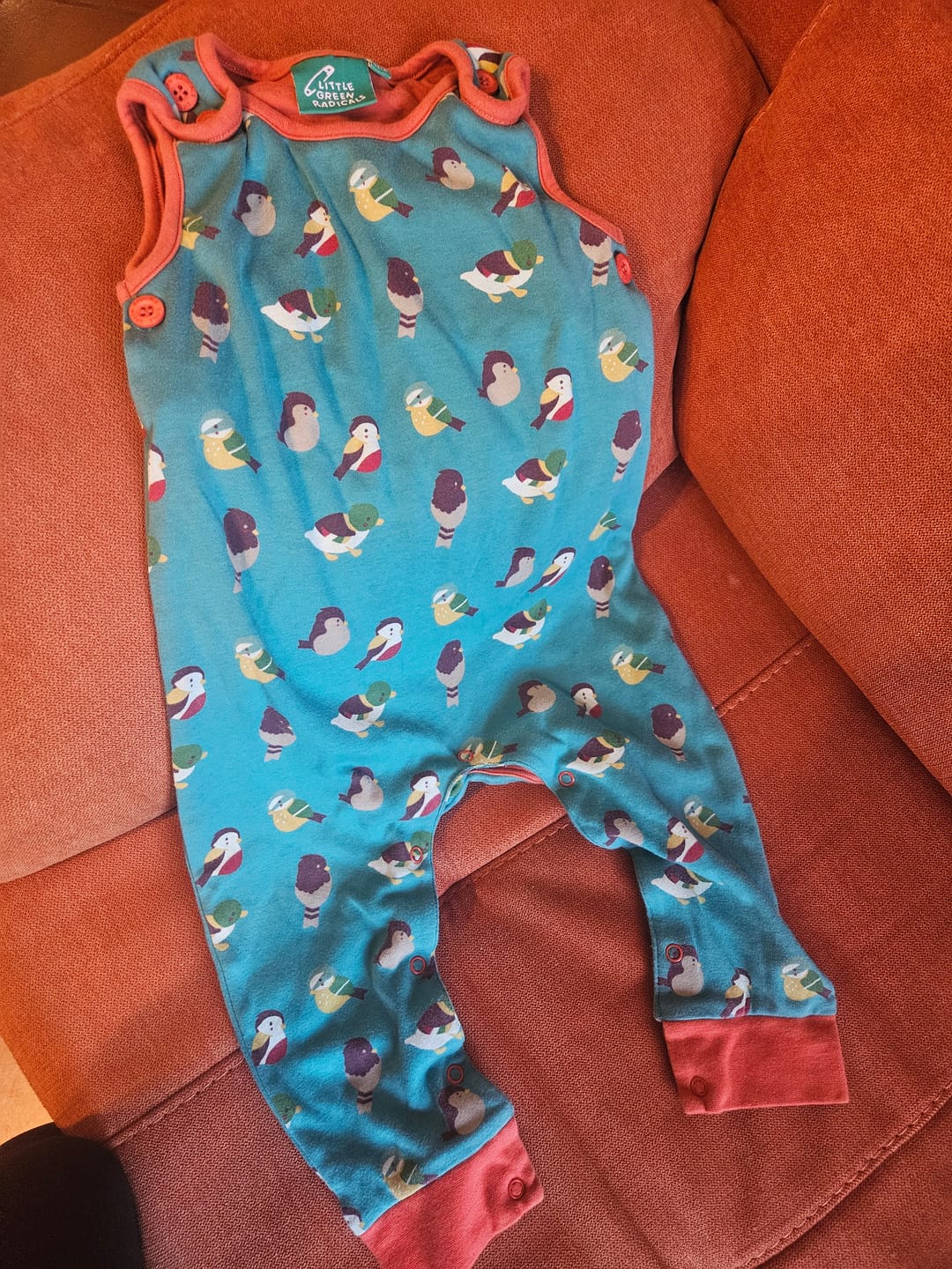 Customer photo review of Garden Birds Everyday Dungarees