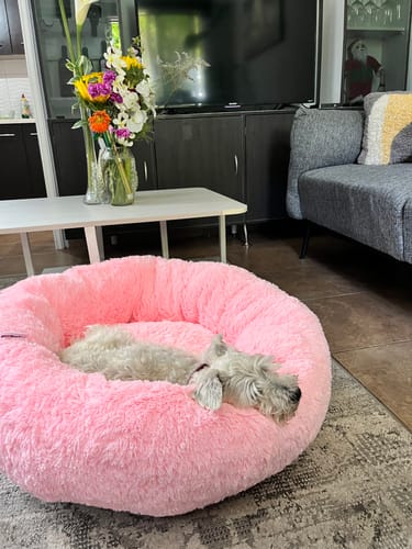 El perro de un cliente duerme cómodamente en la afelpada Cama Antiestrés para Perros de color rosa.