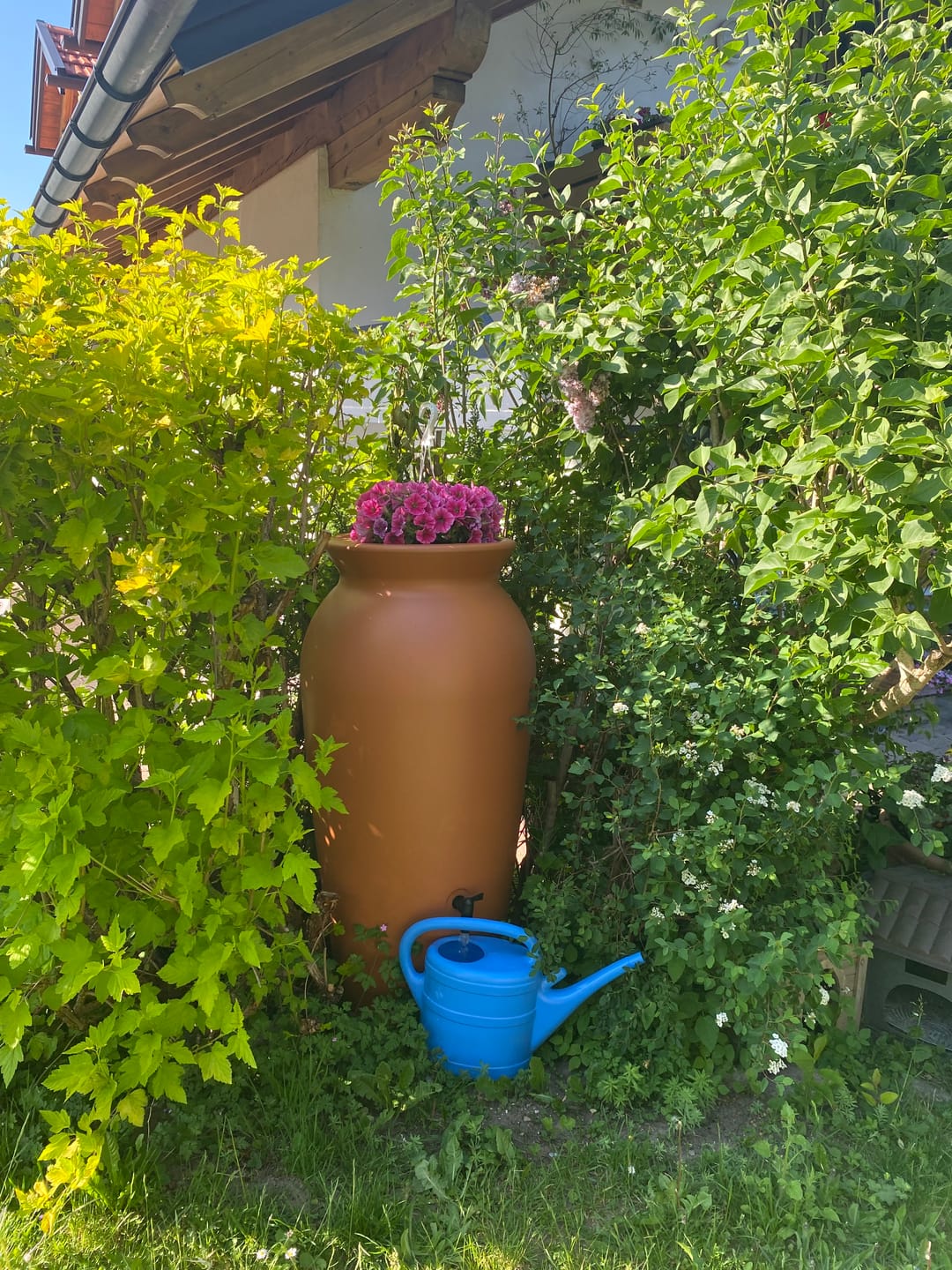 Customer photo review of Regentonne 120 Liter oder 230l Dropcatcher im Tongefäß-Design