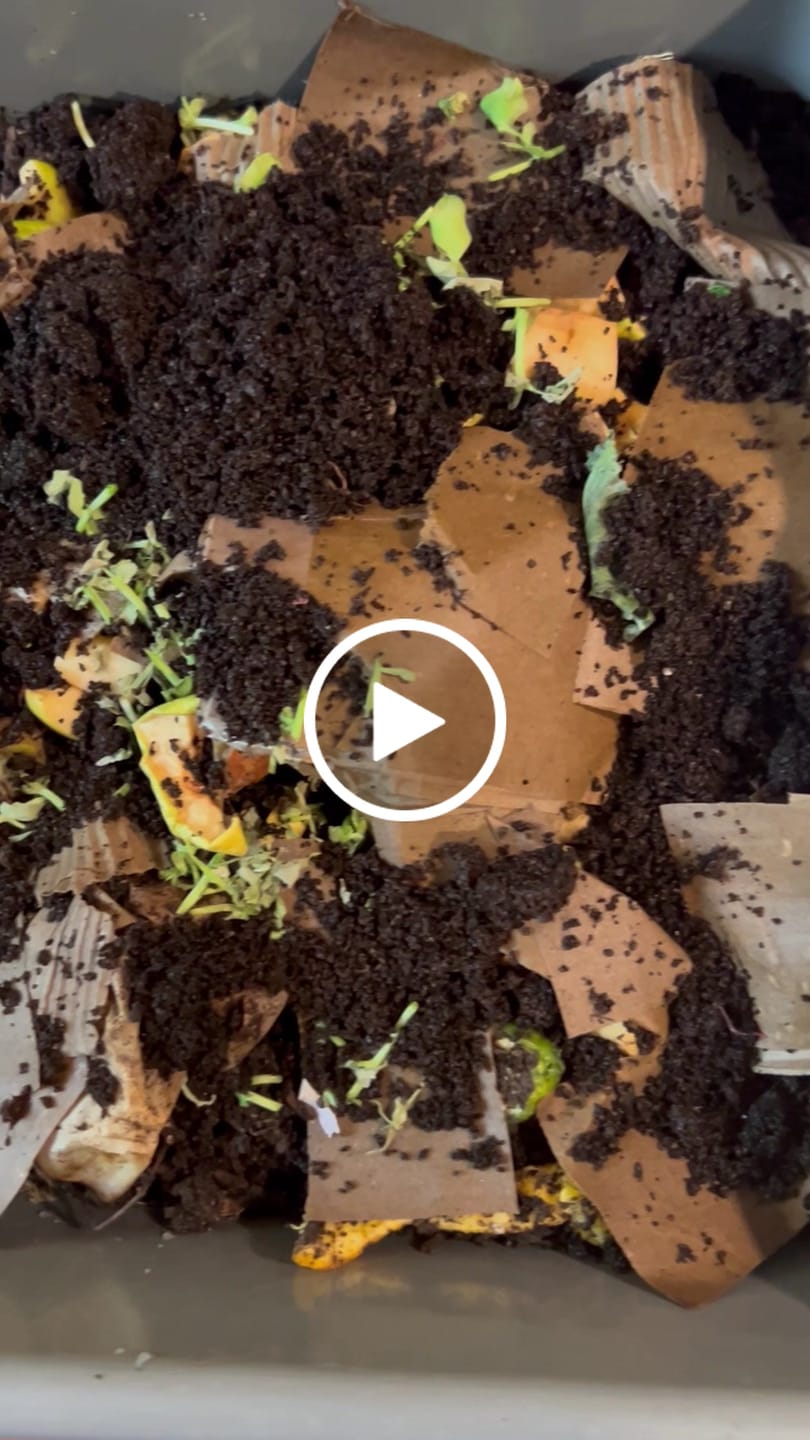 Customer video review of Red Wigglers Composting Worms