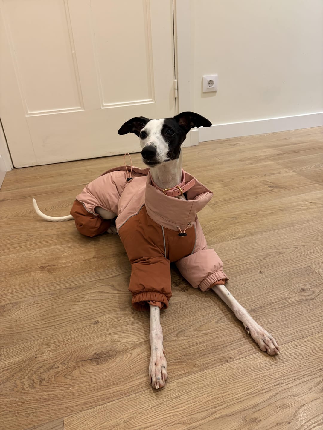Customer photo review of Signature Warmth Bundle