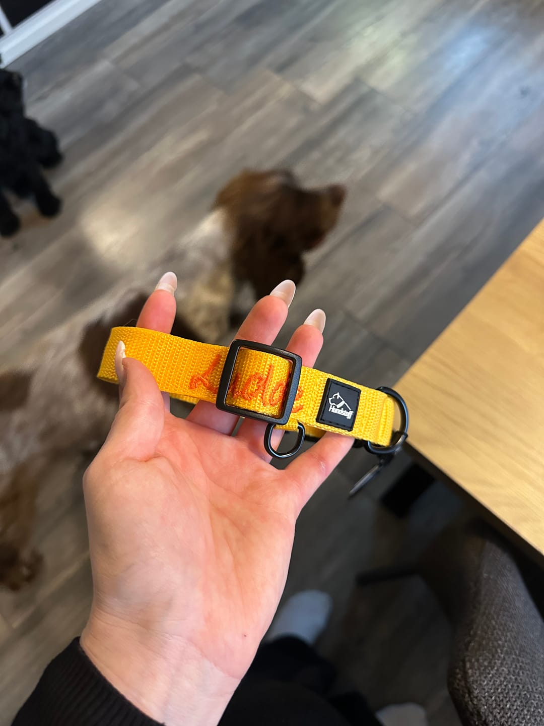 Customer photo review of Hundhalsband med namn, 2.5cm brett