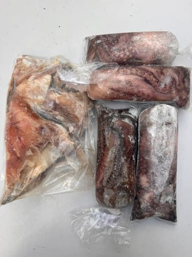 Customer photo review of Octopus Wild Caught Whole Frozen Carton