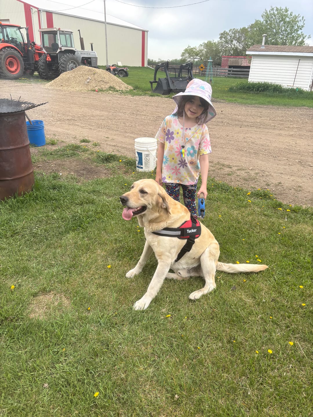 Customer photo review of Dogshood ™