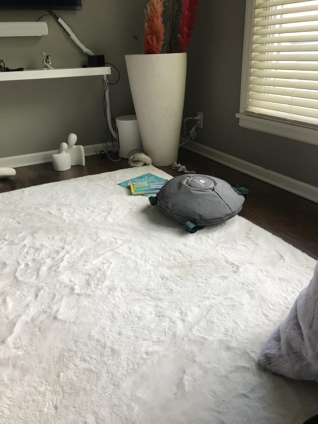 Customer photo review of Panda Drum® • Pro