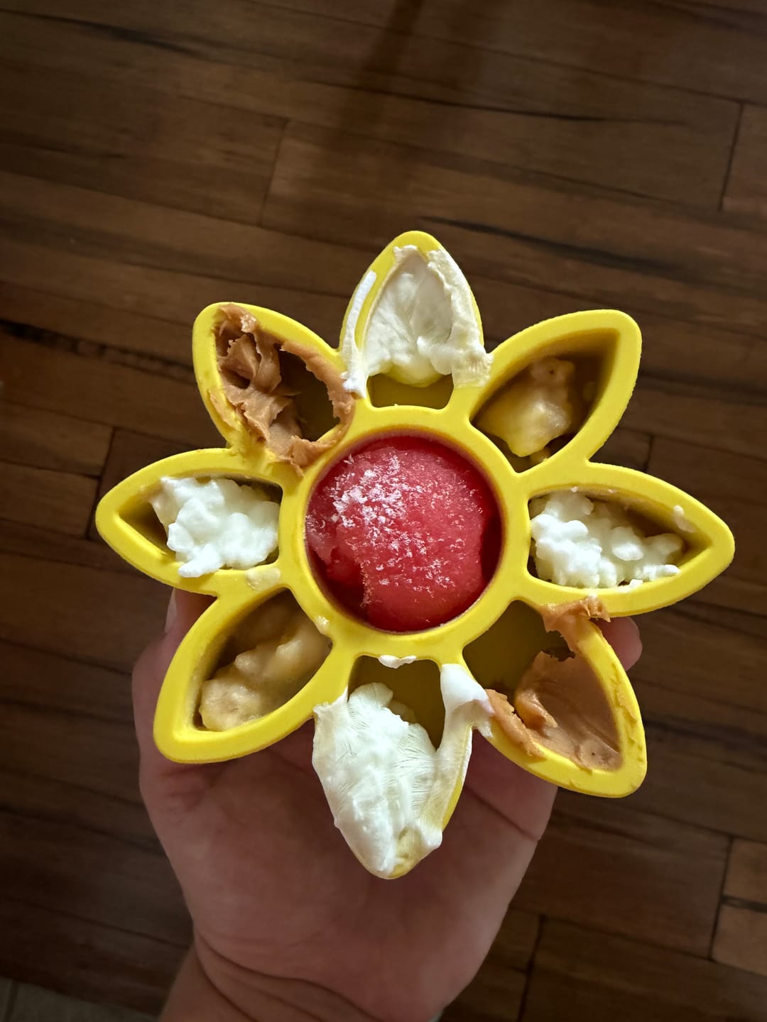 Customer photo review of FreezFlower - Long-Lasting Frozen Flower Dog Treat Toy