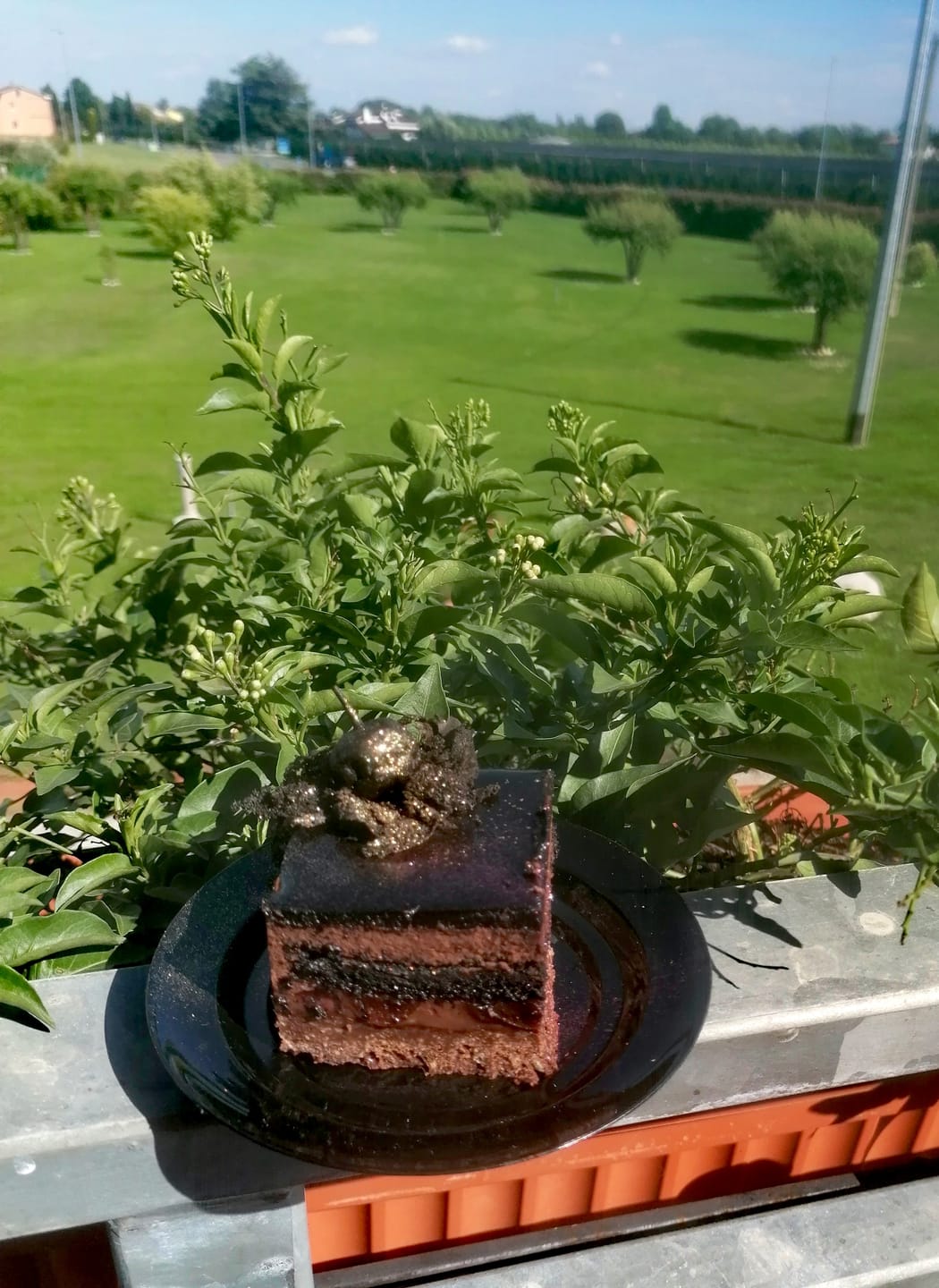 Customer photo review of Tè Sakura Genmaicha