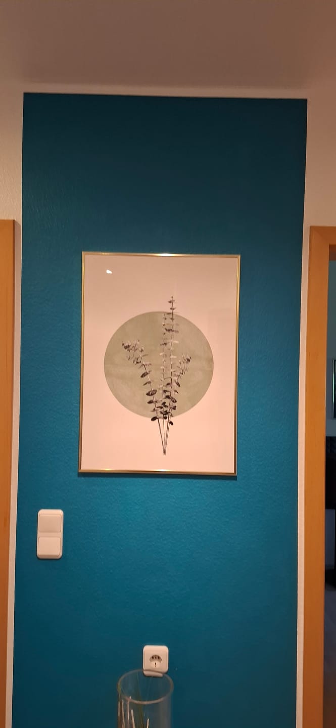 Customer photo review of Circular Eukalyptus