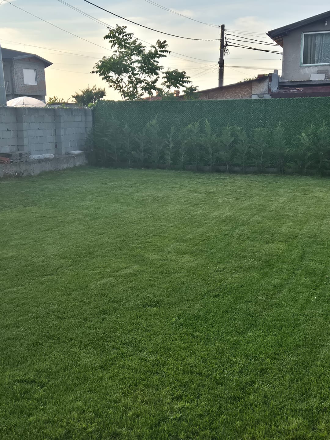 Customer photo review of Декоративна мрежа "Жив плет"