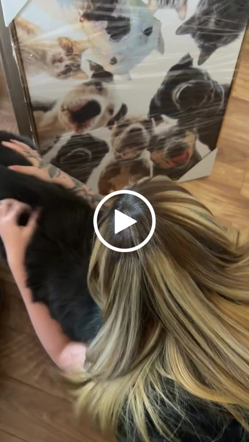 Customer video review of Artzuzu Custom Portrait For Pets - Hey!