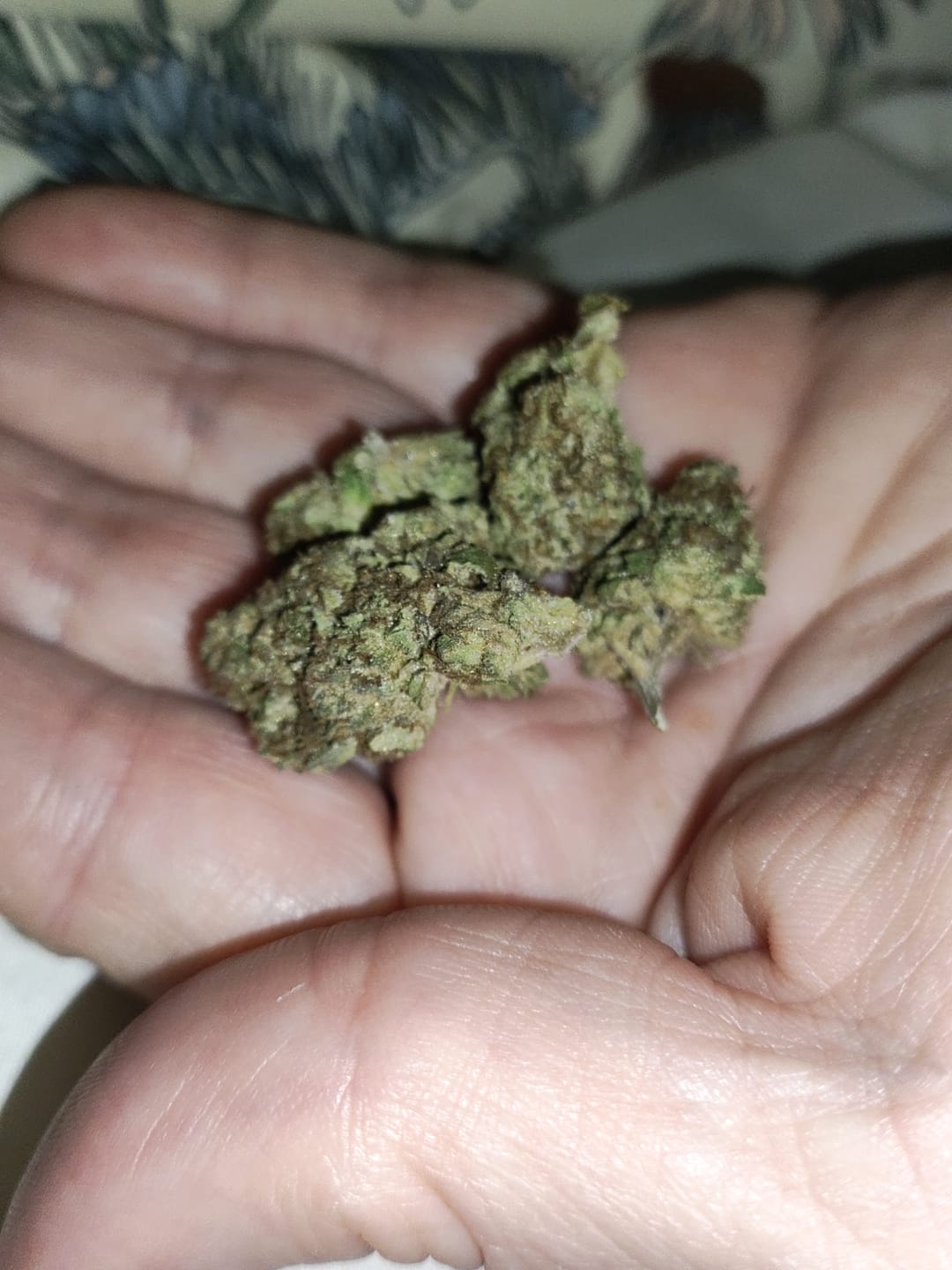 Customer photo review of Fire OG - 28 Grams Littles - Indica