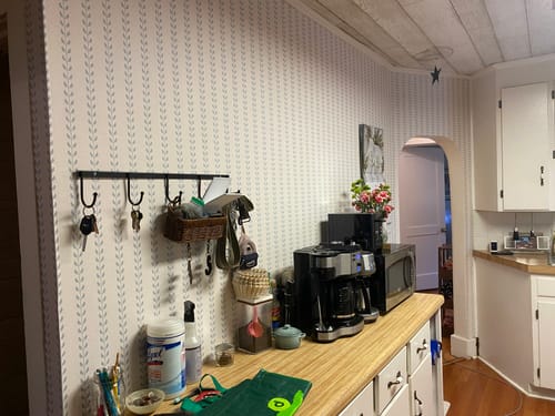Reviewer's kitchen wall with Francesca Wallpaper installed above a counter with appliances.