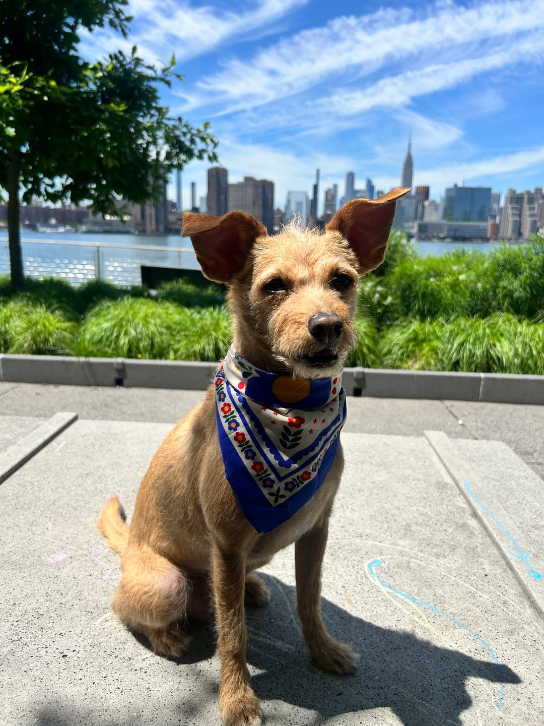 Customer photo review of Scandinavian Bandana