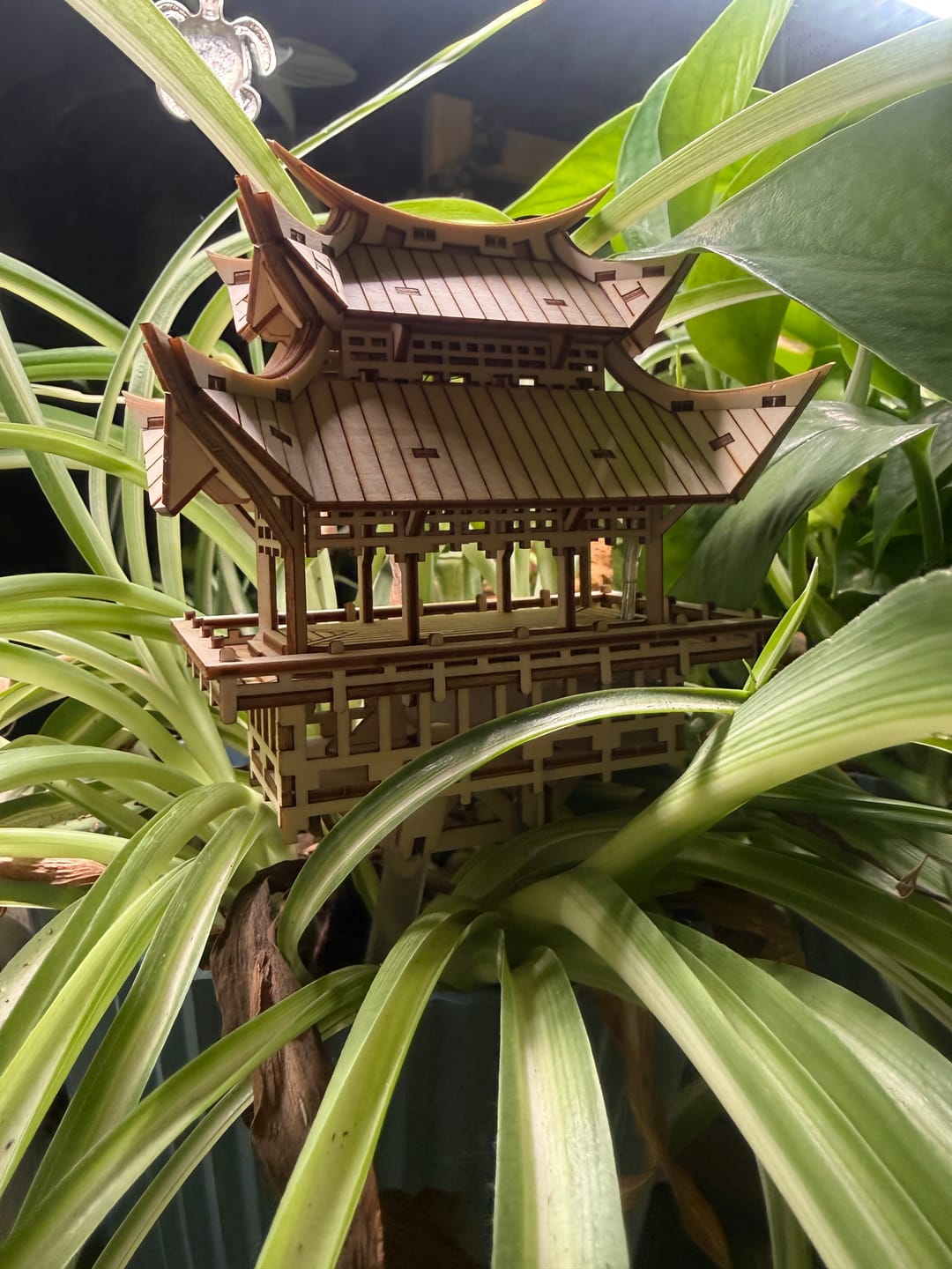 Customer photo review of Temple of Gratitude