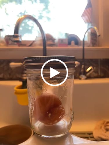 Customer video review of Mason Genie® Vacuum Sealer Kit