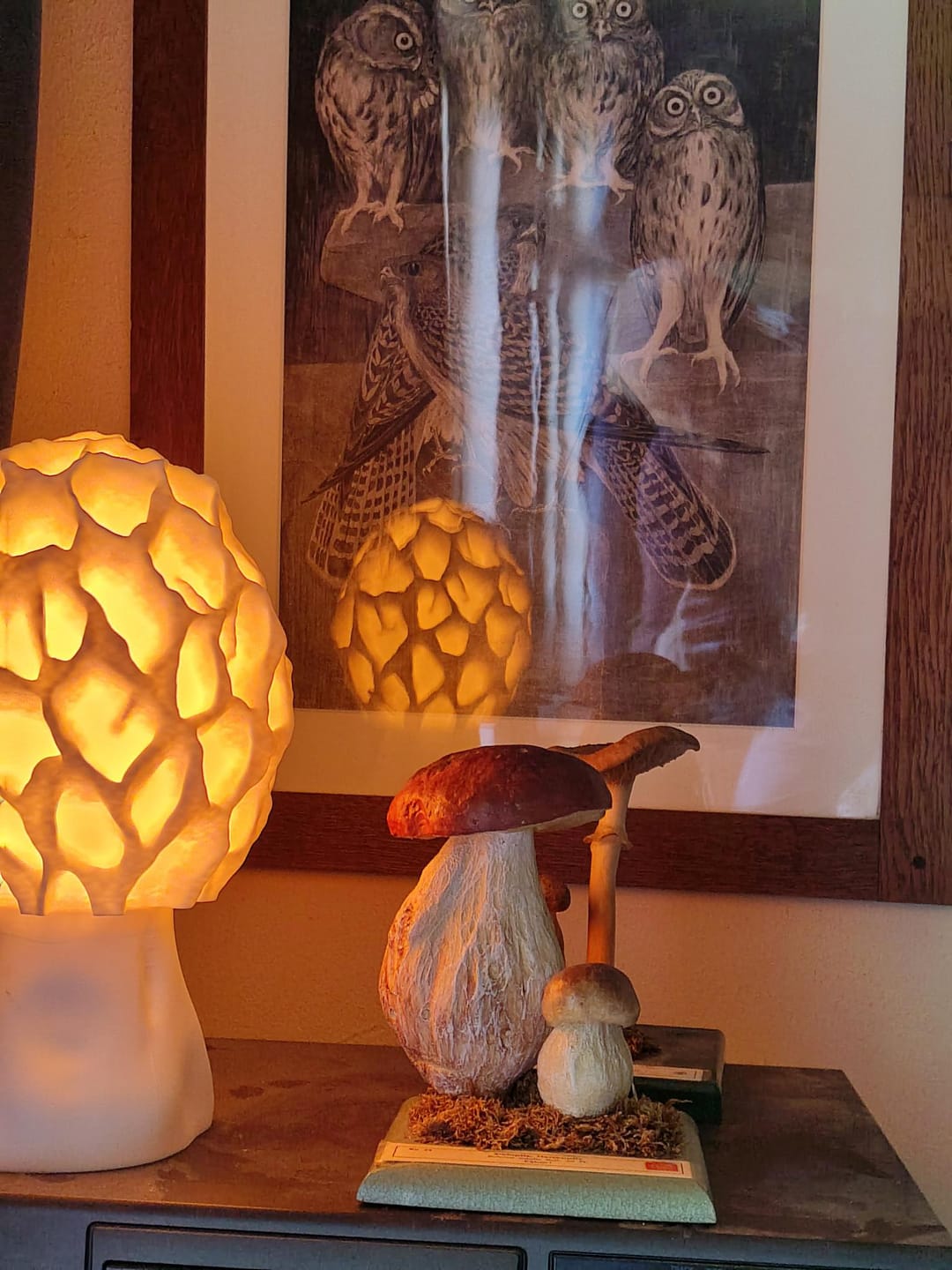 Customer photo review of Morchel Tischlampe – Pilzlampe mit faszinierender Wabenstruktur