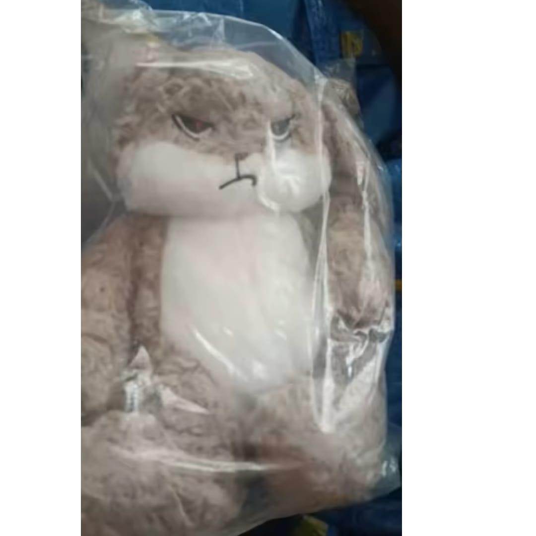 Customer photo review of Peluche tierno y enojado