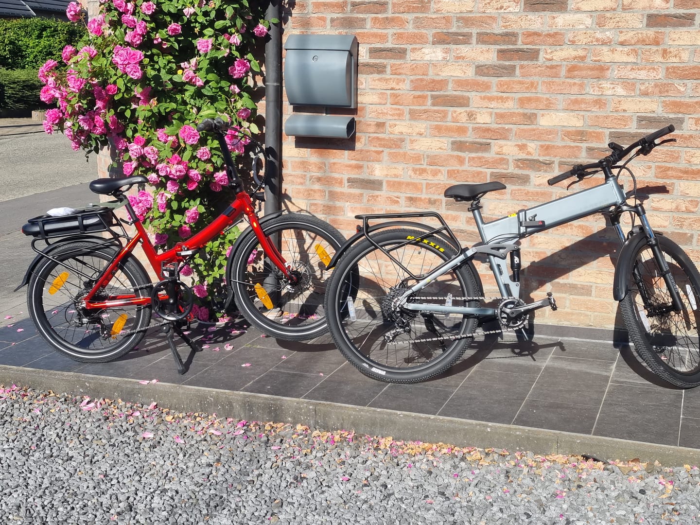 Customer photo review of Etna SR