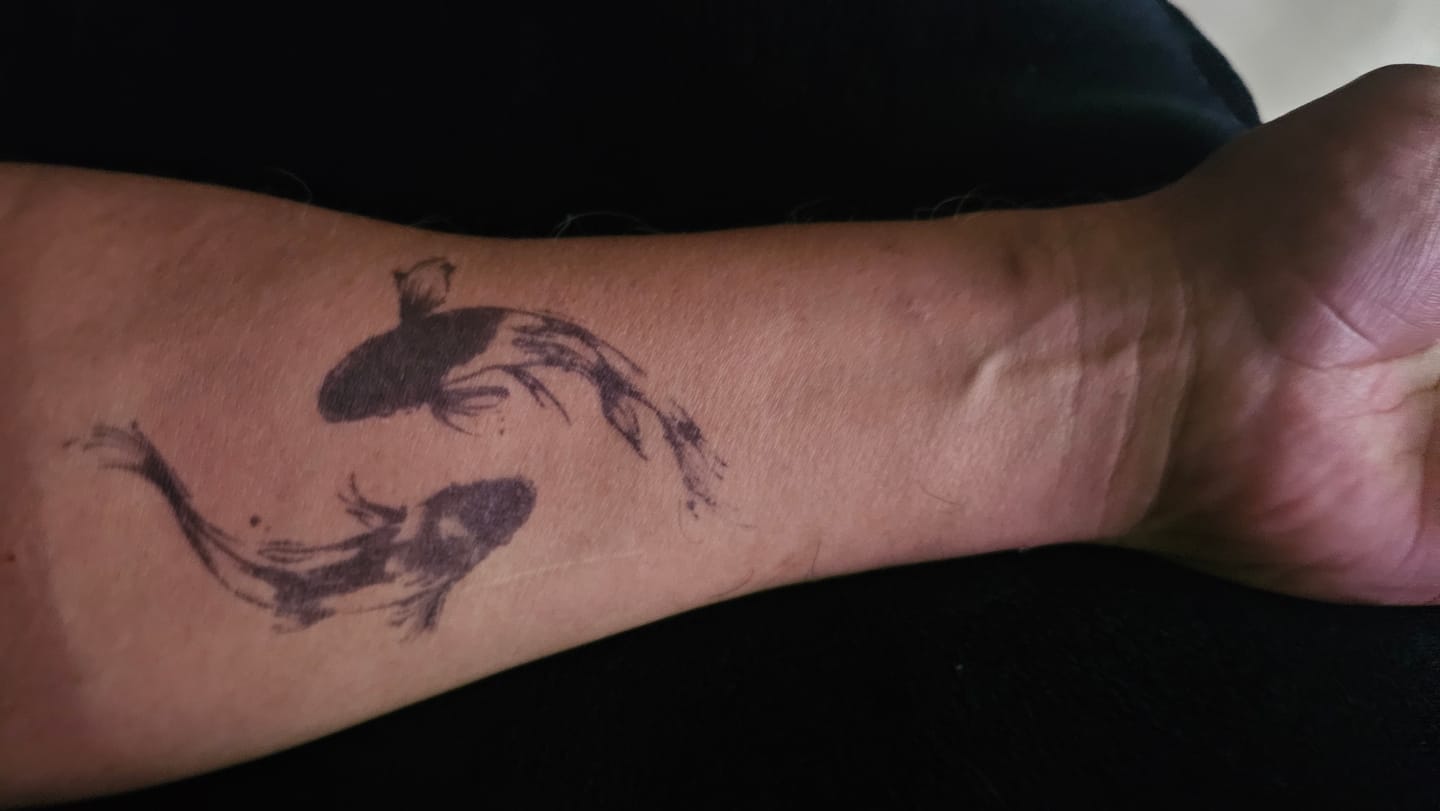 Customer photo review of Sumi Koi Duo