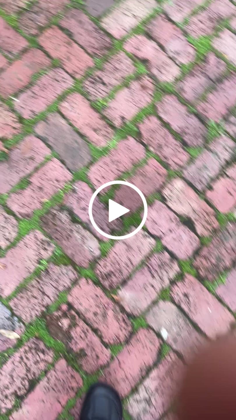 Customer video review of Yew - Barefoot Shoes