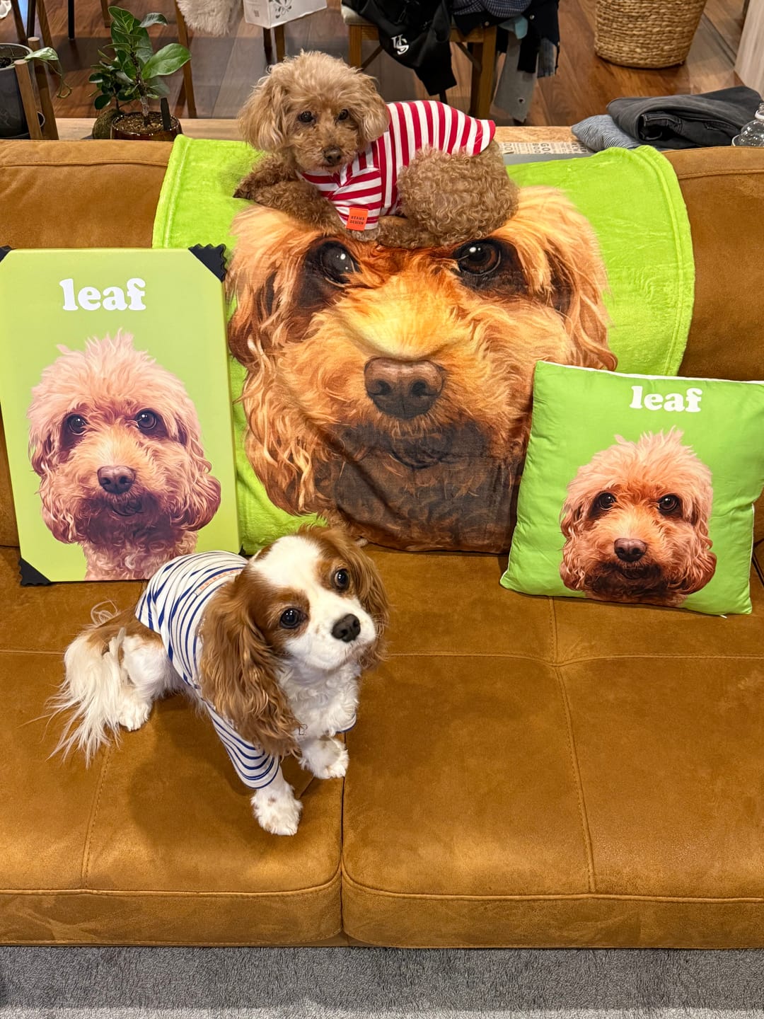 Customer photo review of Petcanva©オーダーメイド ペット似顔絵【3点セット】