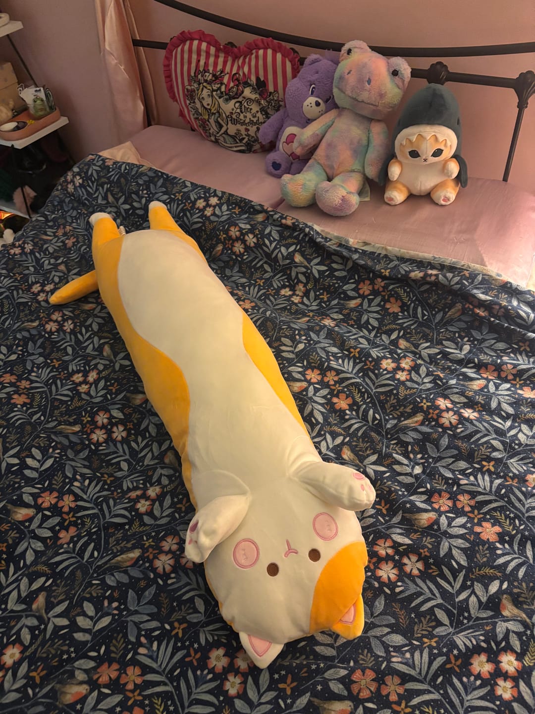 Customer photo review of Long Cat Snuggle Buddy