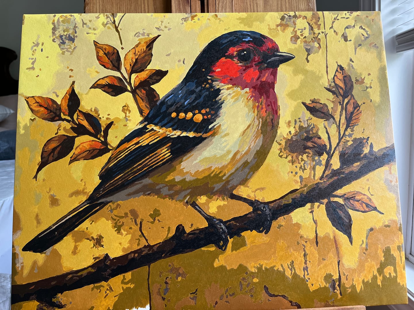 Customer photo review of Eastern Bluebird